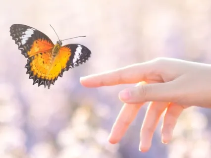 Self Transformation: Aligning With Your Higher Self