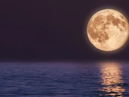 Self-Trust | Connect With The Heart