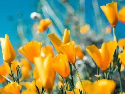 Self-Worth Affirmations For Shining Your Light