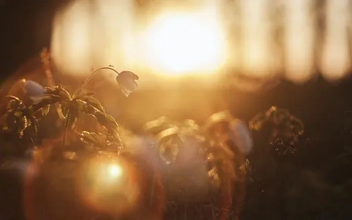 Self Worth & Self Esteem: Guided Healing Meditation