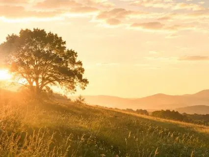 Self-Worth & Inner Confidence: Guided Relaxation