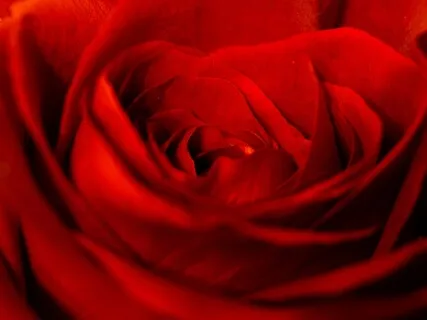 Affirmations For Self Worth