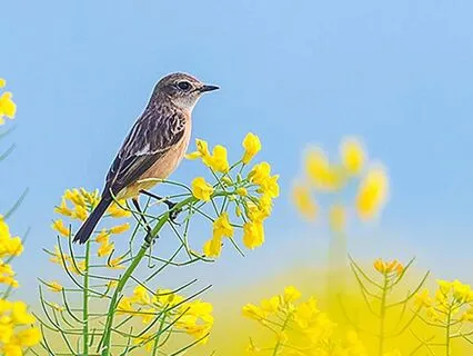 Self-Worth: Restore Your Well-Being