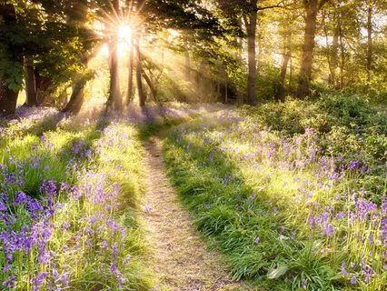 Self-Worth | Root, Solar Plexus, Throat Chakra Cleanse For Self-Confidence