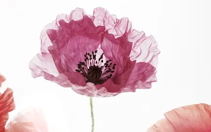 Self-Worth / Day 1: My Beautiful Body Energy Clearing