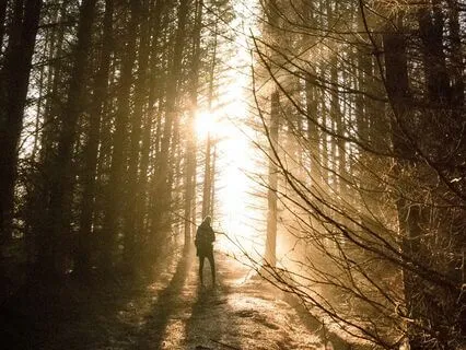 Self-Forgiveness & Acceptance Healing (You Are Affirmations)