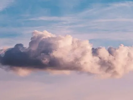 Selfgentle Day Dreaming