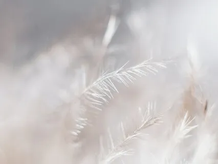 Selfless Meditation Insight timer 1