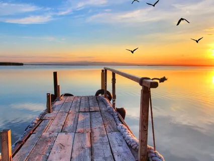 Send & Receive Loving Kindness