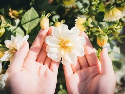 Send Healing Energy To Someone Meditation. Distance Healing.