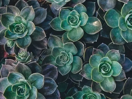 Sending Energy To Your Spinal Cord