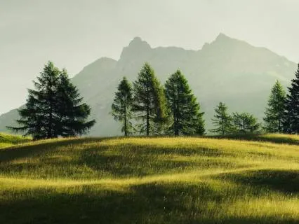 Sensation Meditation For Connecting To The Body