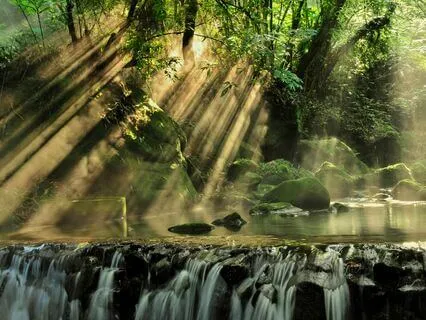 Sensation To Sensation - Somatic Meditation