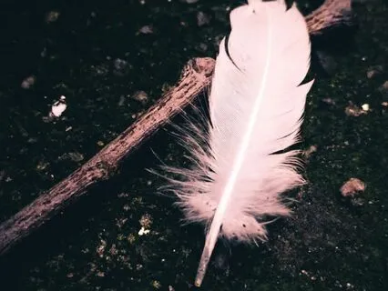 Sensation & Touch Exercise