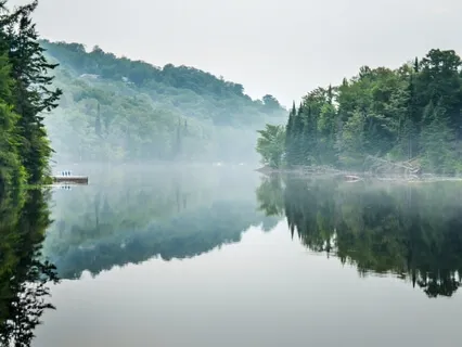 Sense Aware Movement