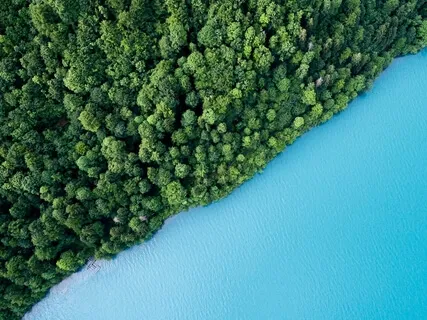 Sense Awareness | 10 Minute Guided Meditation