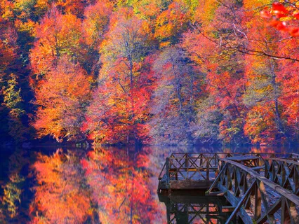 Sense Of Life (Poem)