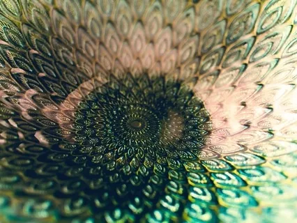 Sense The Kindness Of Humanity Within