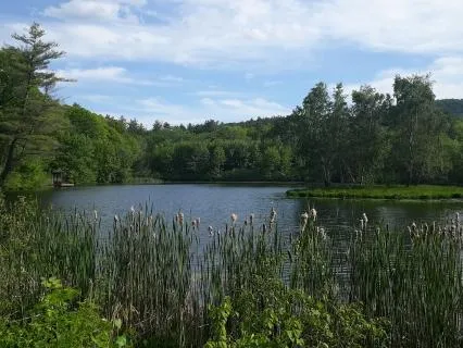 Senses Of Summer