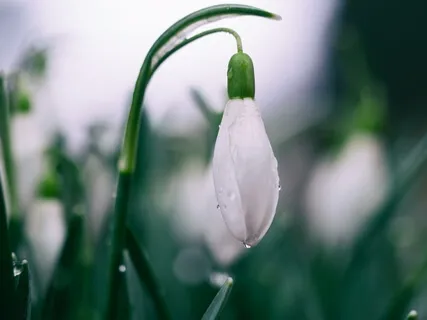 Sensing Acupoints: Bubbling Spring (Yong Quan)