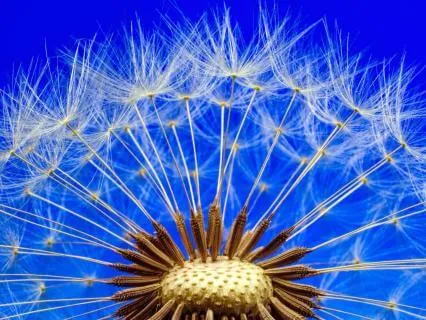 Sensing For Sensations (10 Min Body Scan)