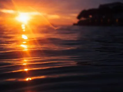 Sensing Into Gratitude