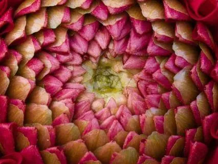 Sensing Into Presence