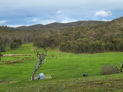 Sensing Something On Your Mind