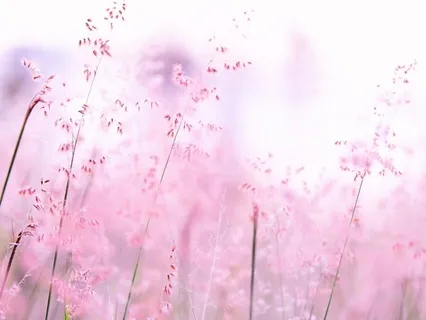 Sensitive Heart: Calm & Boundaries For Empaths