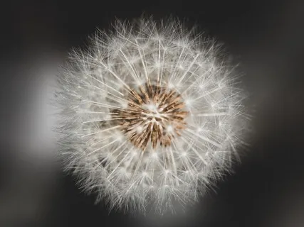 Sensitivity To Trauma