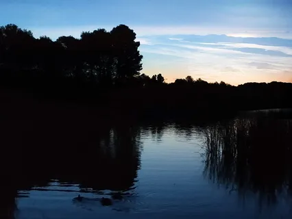 Sensitivity (Meditation Music)