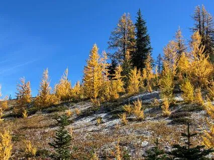 Sensory Awareness For Relaxation