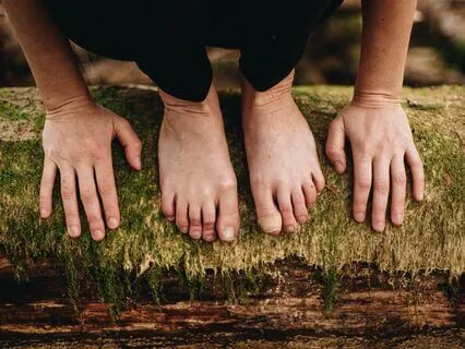 Sensory Forest Immersion - Open Your Senses In Nature