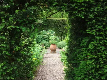 Sensory Grounding (Brief Practice)