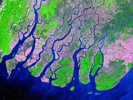 Sensory Immersion Meditation