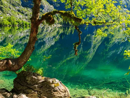 Sensory Meditation For Focus And Stress Relief