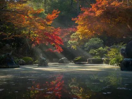 Sensory Mindfulness: A Journey To Calm