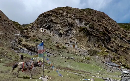 Sensory Nature Reconnection Meditation Through Sound