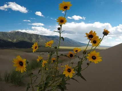 Sensory Nature Reconnection Meditation Through Touch