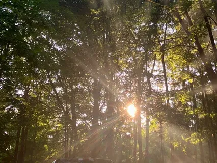 Sensory Orientation For Grounding