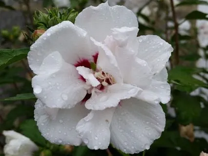 Sensory Orientation To Interrupt Intrusive Thoughts