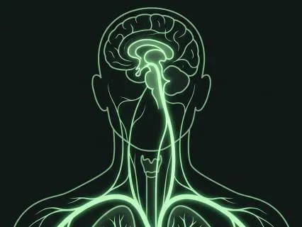 Sensory Overload Reset: 20M NSDR For Nervous System Shutdown