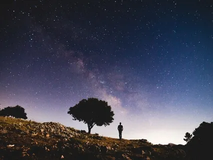 Sensory Self Portrait