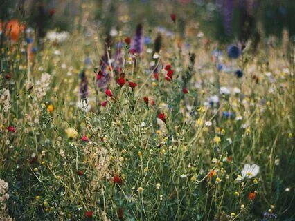 Sensory Visualization For Grounding Into The Present Moment