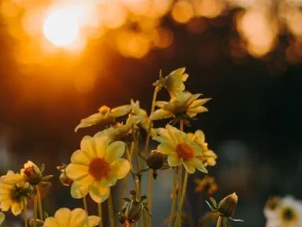 Sensual Awareness For Deep Rest & Nurturing