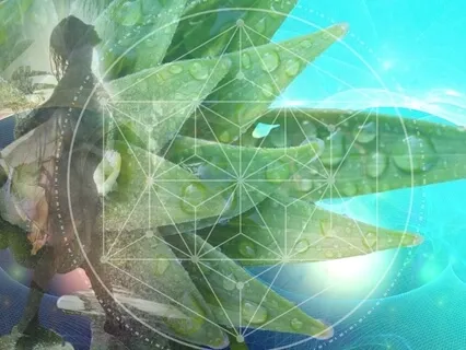 Sensual Beats Power Affirmation Meditation