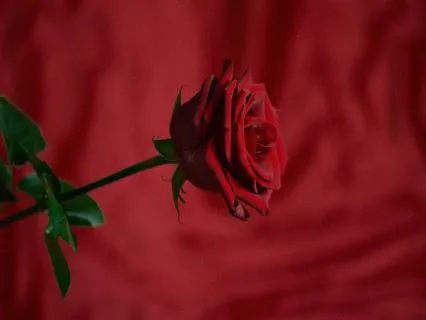 Sensual Music For Intimacy And Love