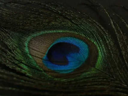 Sentience: Emotional Awareness In A (Third Eye Chakra)