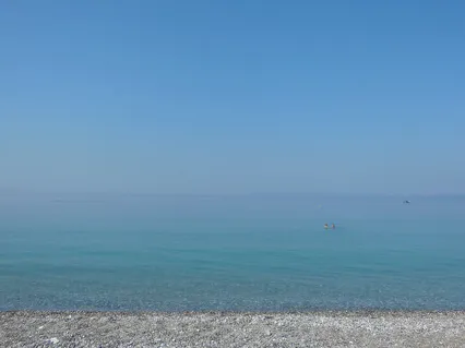 Separating Mind From Consciousness 