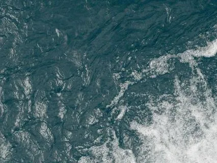 You Are Not Your Job, You Are Not Your Performance